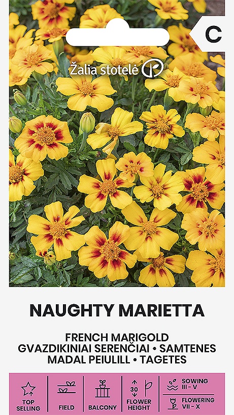 Tagetes patula Naughty Marietta, cca 1 g