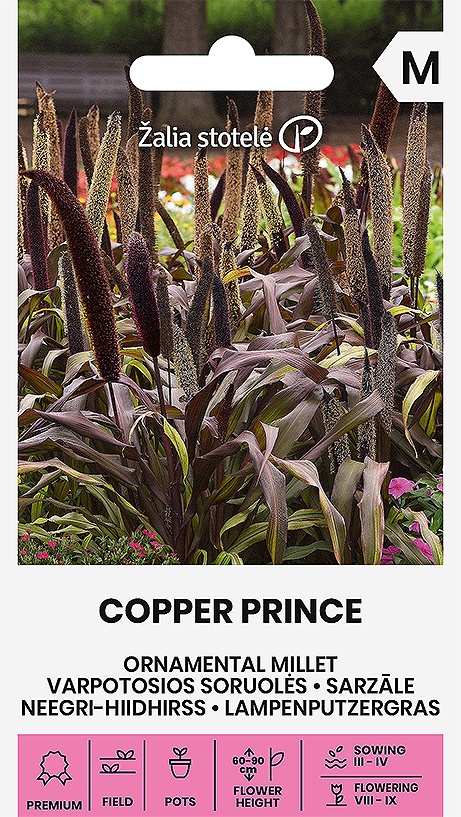 Millet Copper Prince F1, cca 10 semien