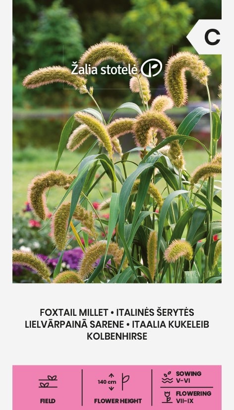 Setaria italica L., cca 0,5 g