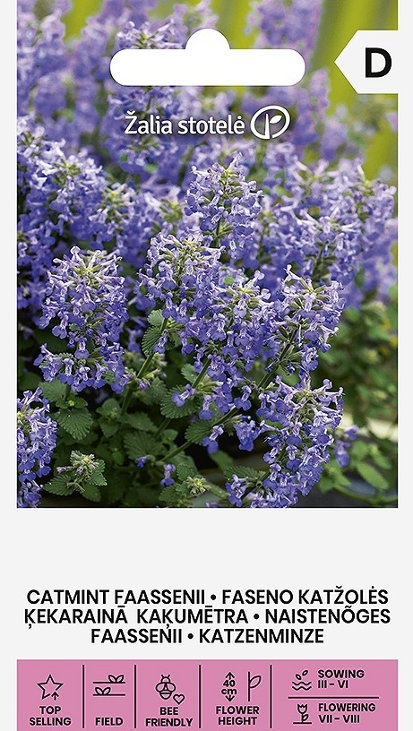 Nepeta x faassenii, cca 0,4 g