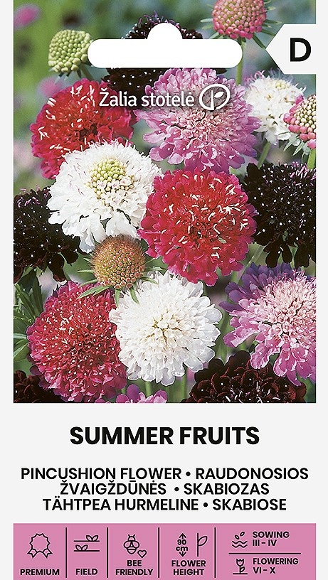 Scabiosa atropurpurea Summer Fruits, cca 30 semien