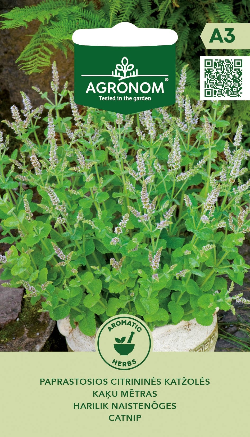 NEPETA CATARIA L. var.CITRIODORA, cca 0,3 g
