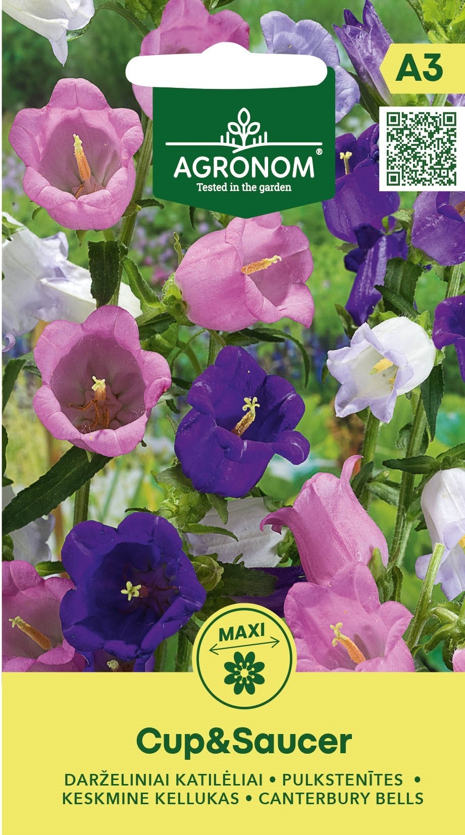 Campanula medium  Cup&Saucer, cca 0,2 g