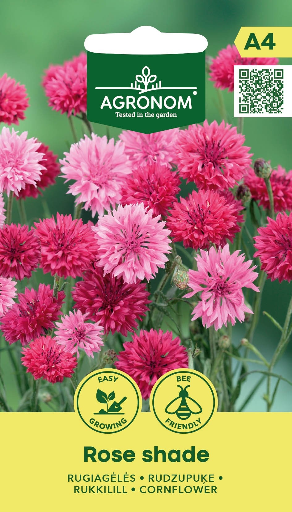Centaurea cyanus (Nevädza poľná) Rose Shades, cca 1 g