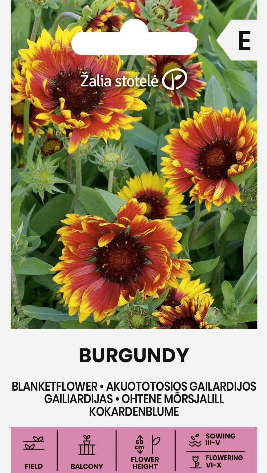 Gaillardia aristata, cca 0,5 g