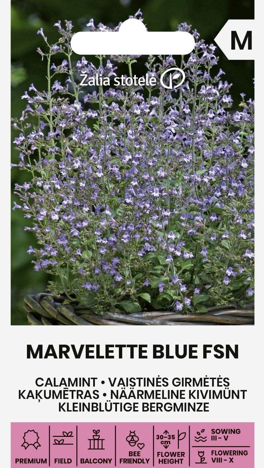 Calamintha nepeta, cca 30 semien