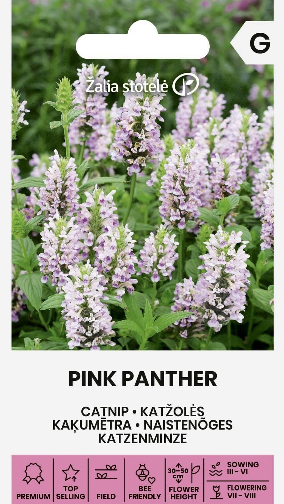 Nepeta Pink Panther, cca 30 semien
