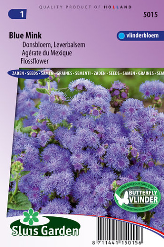 ageratum, semená kvetov, kvety, letnicky, modré kvety, krásne kvety,