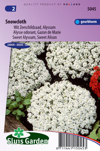 Alyssum (Lobularia maritima) 0,25g ±625 semien