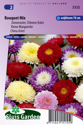 Callistephus chinensis (Astra čínska) Bouquet Mix 0,6g