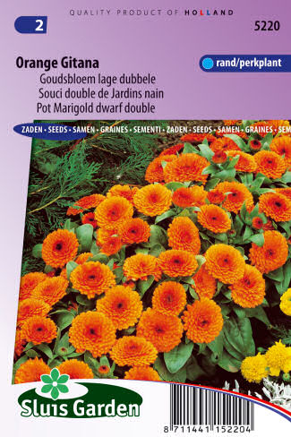 Calendula officinalis (Nechtík lekársky) Orange Gitana 0,6g