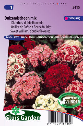 Dianthus barbatus Double Choice Mix 0,6g