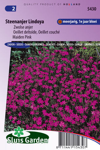 Dianthus deltoides erectus karmínov červená 0,1g