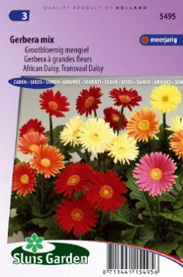 Gerbera Jamesonii Zmes cca. 25 semien