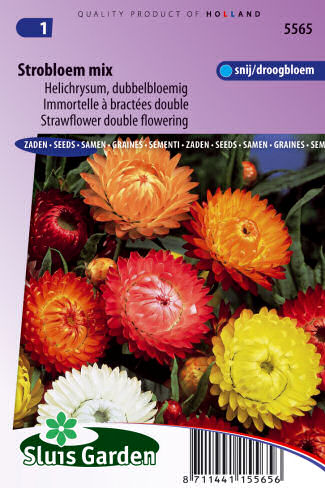 Helichrysum bracteatum (Slamienka) Mix 0,3g