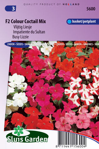 Impatiens walleriana (Netýkavka) Colour Cocktail Mix F2 cca. 100 semien