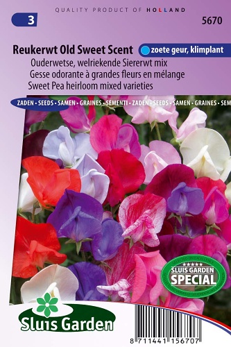 Lathyrus odoratus (Hrachor vonný) Old Sweet Scent 2,5 g