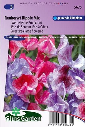Lathyrus odoratus (Hrachor vonný) Ripple Mix cca 2,5 g
