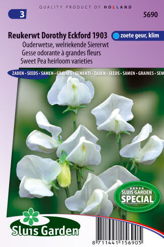 Lathyrus odoratus (Hrachor vonný) Dorothy Eckford 1903 2,5g