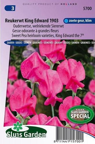 Lathyrus odoratus (Hrachor vonný) King Edward 2,5g cca 30 semien