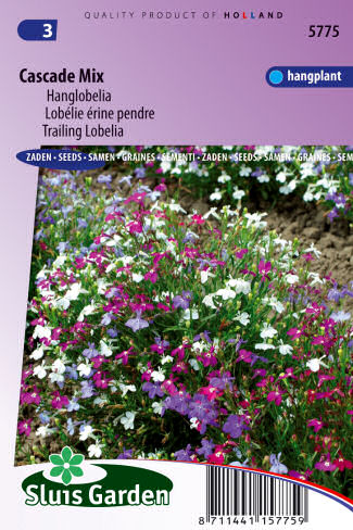 Lobelia erinus (Lobelka drobná) Cascade Mix 0,25g