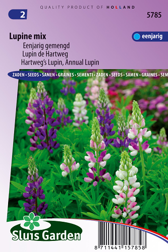 Lupinus hartwegii (Vlčí bôb) Zmes cca 1,5 g semien