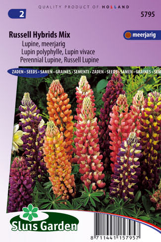 Lupinus polyphyllus Russell hybrids Mix 1,5g