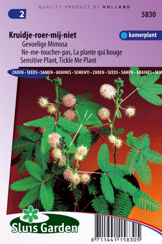Mimosa pudica (Citlivka obyčajná) 0,5g