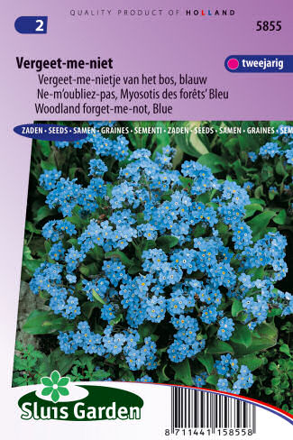 Myosotis sylvatica Forget-me-not Indigo Blue 0,35g