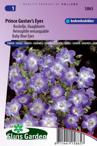 nemophal kvety semena zeleniny kvetov bylinky sadit pestovat rajcin paprika uhoriek bazalka