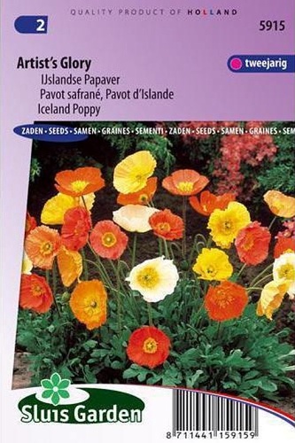 Papaver nudicale Artists Glory 0,25 g cca 2000 semien