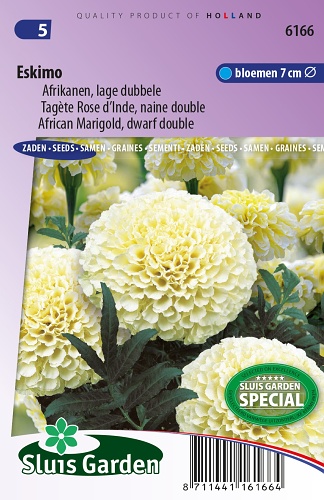 Tagetes erecta nana (Aksamietnica) Eskimo  0,4 g cca 100 semien