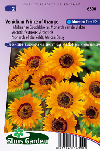 Venidium fastuosum (Africká sedmokráska) Prince of Orange 0,15 g cca 375 semien