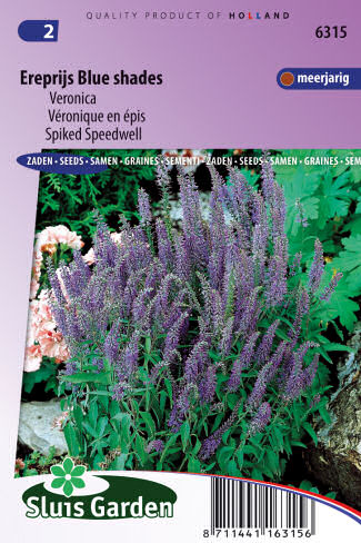 Veronica spicata Blue Shades 0,1g