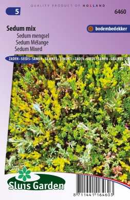 Sedum mix cca 450s