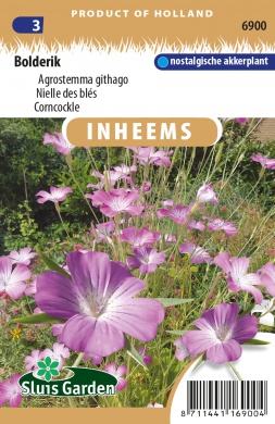 Agrostemma githago, Kúkoľ poľný, cca. 1 g cca. 100 semien