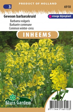 Barbarea vulgaris, Barborka obyčajná zimná cca. 0,25 g cca. 325 semien