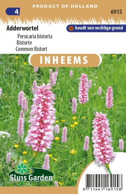 Persicaria bistorta, Hadovník cca. 0,4 g cca. 60 semien