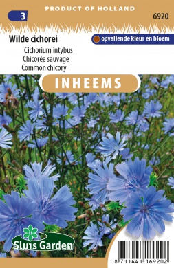 Cichorium intybus, Čakanka obyčajná cca. 0,5 g cca. 350 semien