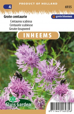 Centaurea scabiosa, Nevädza hlaváčovitá cca. 0,5 g cca. 75 semien