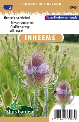 Dipsacus fullonum cca. 0,5 g cca. 150 semien