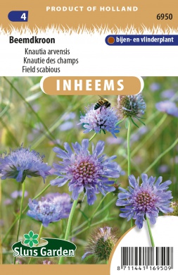 Knautia arvensis, Chrastavec roľný cca. 0,4 g cca. 70 semien