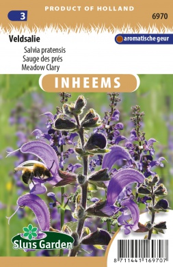 Salvia pratensis, Šalvia lúčna cca. 0,5 g cca. 250  semien