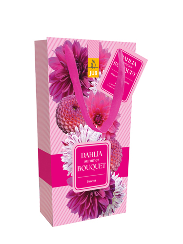 TAŠKA DÁLIA (GEORGÍNA) SUMMER BUQUET SUNRISE TAŠKA - 4 ks