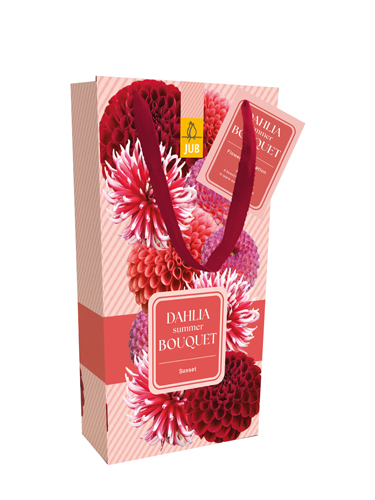 TAŠKA DÁLIA (GEORGÍNA) SUMMER BUQUET SUNSET TAŠKA - 4 ks