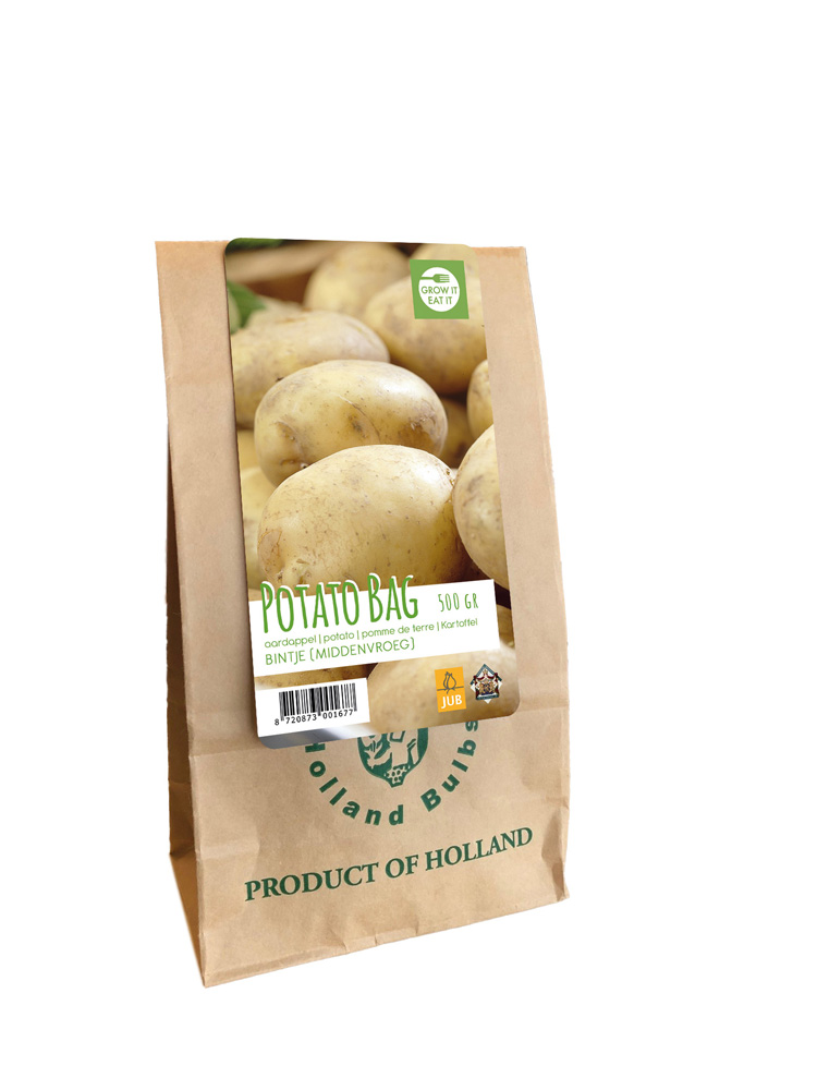 ZEMIAKY SADBOVÉ BINTJE 500 g