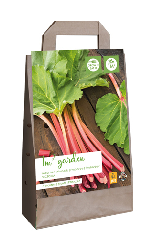 RABARBORA VICTORIA 5 ks