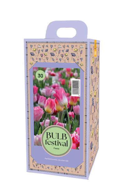 BOX BULB FESTIVAL FIESTA - 30 ks