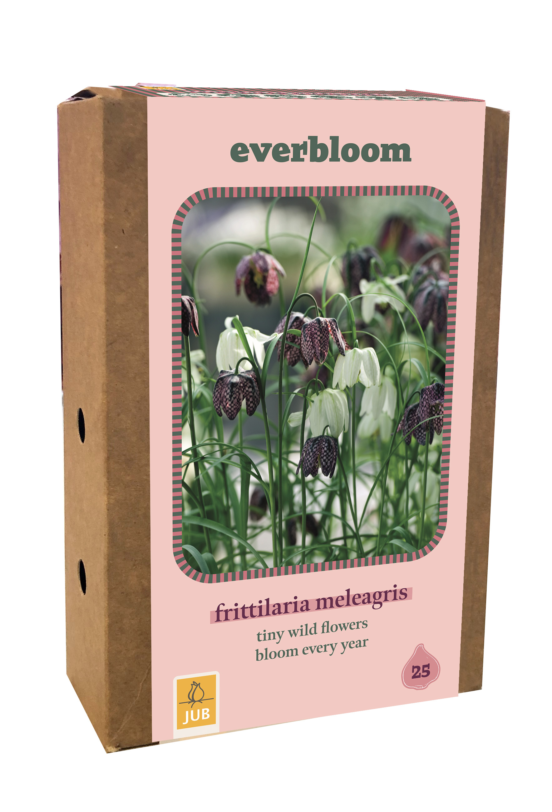Everbloom - Fritillaria meleagris - 25 ks
