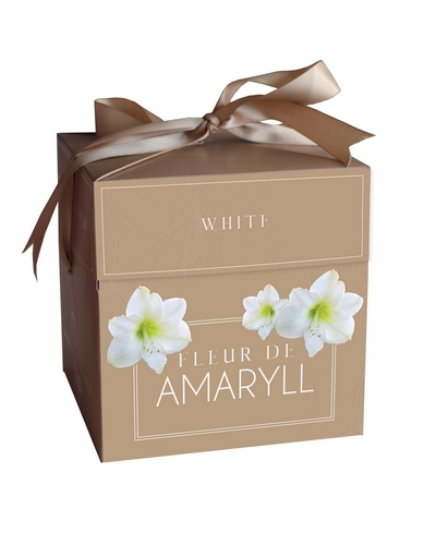 KRABICKA FLEUR D´AMARYLL WHITE 1ks